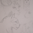 Kitty sketches