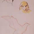 Bird drawings